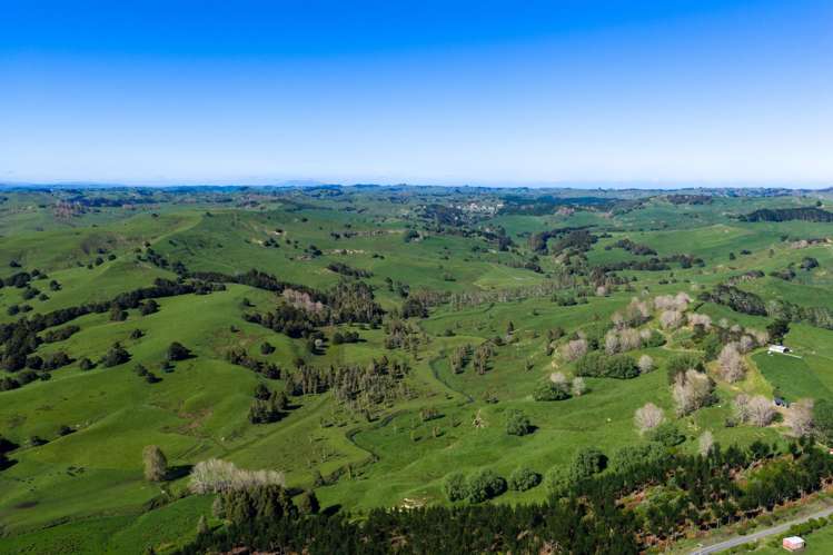 246 Allen and Eyre Road Onewhero_7