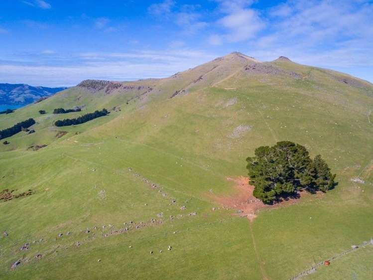 175 Barrys Bay Valley Road Duvauchelle_23