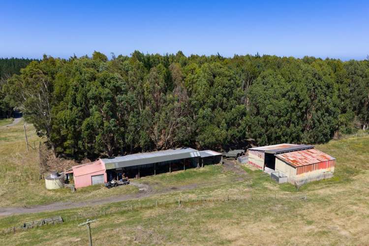 590 Brandon Hall Road Bulls_25