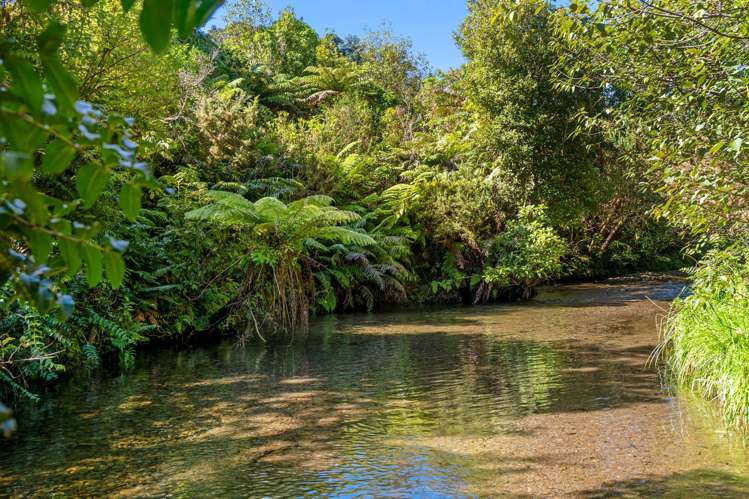 29 Tu Papaku Road Barrytown_27