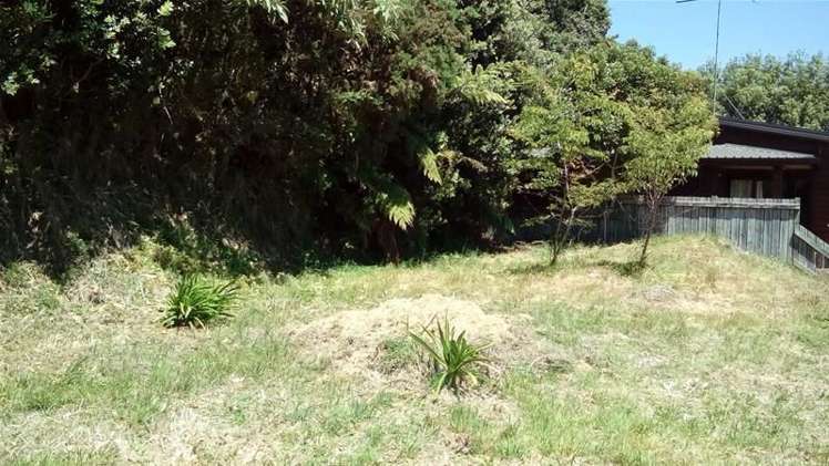 36 Roto Street Hurdon_5