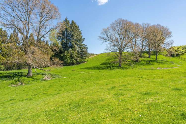 344 Palmer Mill Road Wairakei_32