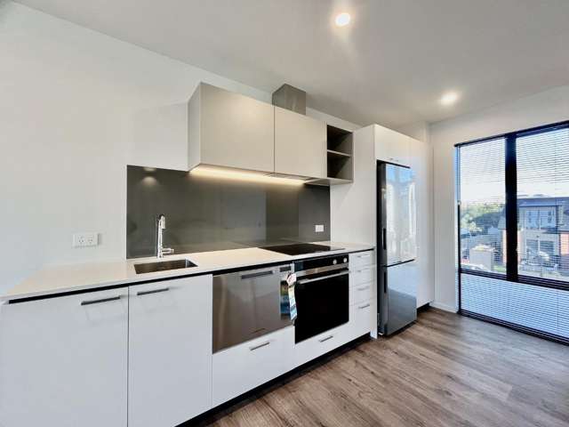 133 Fitzgerald Avenue 1419_3