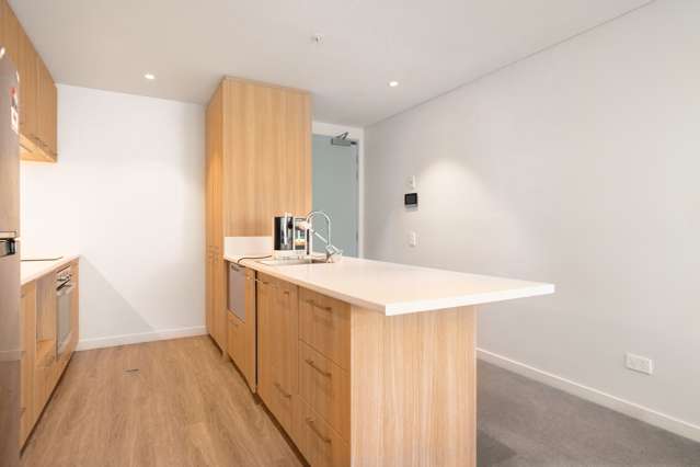 102/10 Copper Beech Avenue Frankton_3