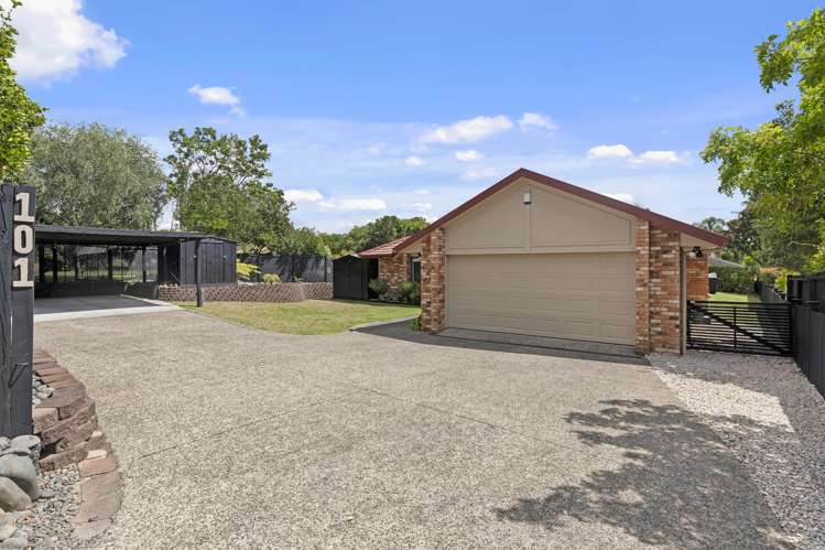 101 Te Wharau Drive Greenhithe_3