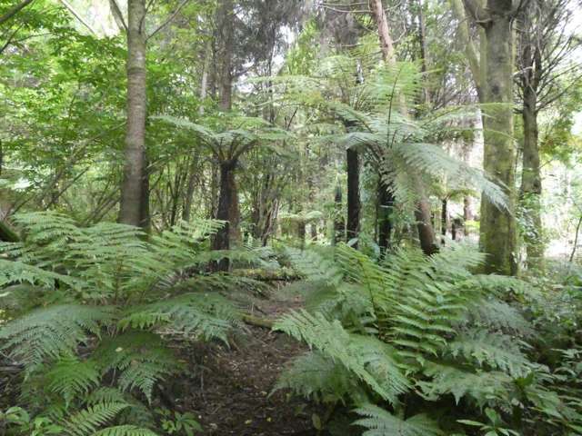 Camerons Road Marsden_3