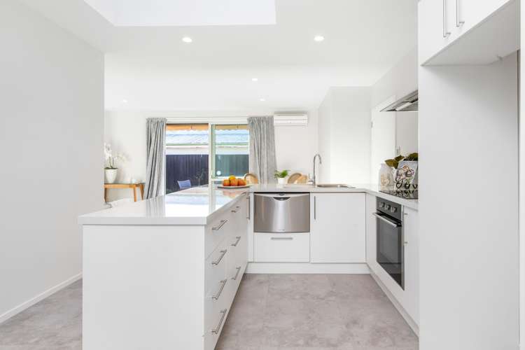 229c Main North Road Redwood_6