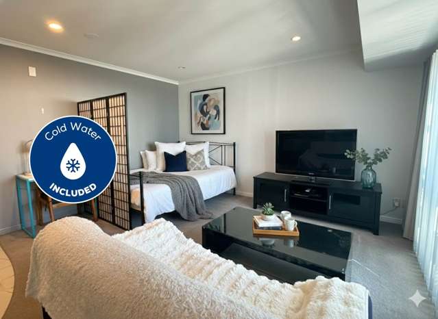 Spacious STUDIO APARTMENT IN TOWER HILL