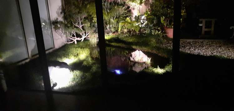 143a Seddon Street Pukekohe_16