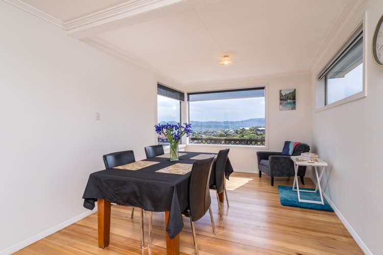245 Highcliff Road Shiel Hill_6