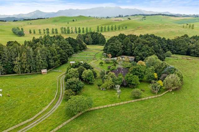 120 Springs Road Poroti_1