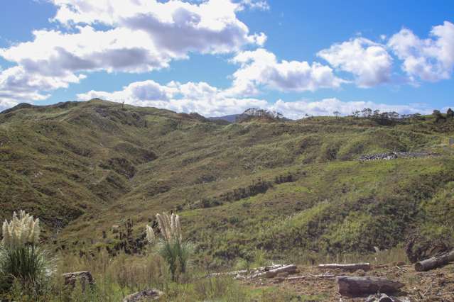 Broadwood Road Broadwood_1