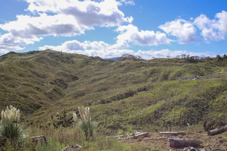 Broadwood Road Broadwood_1