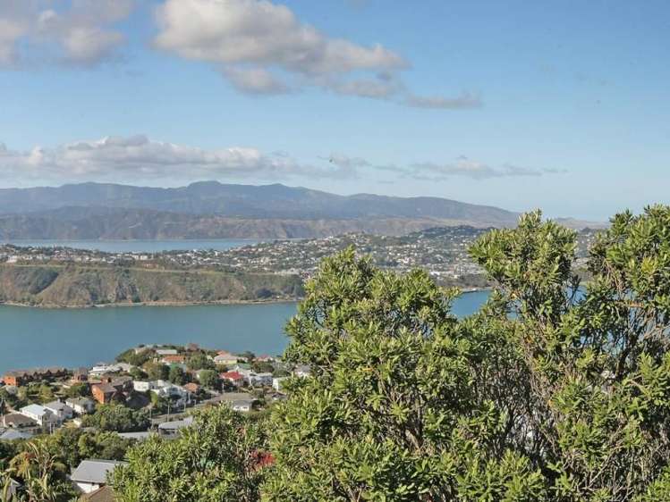 26 Alexandra Road Hataitai_2