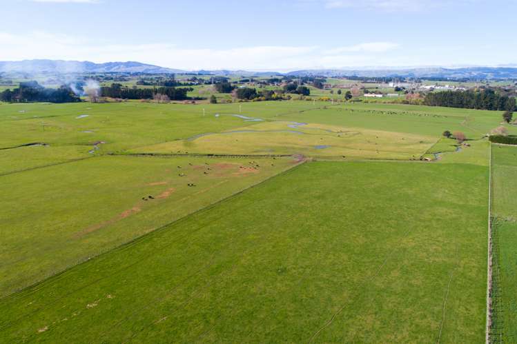 50 Nannestads Line Bunnythorpe_7