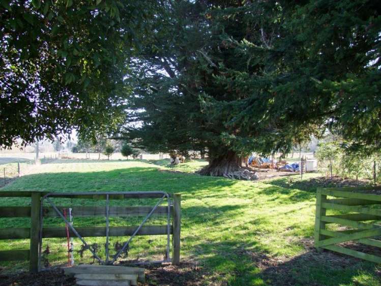 107 Waitahuna Gully Road Waitahuna_21