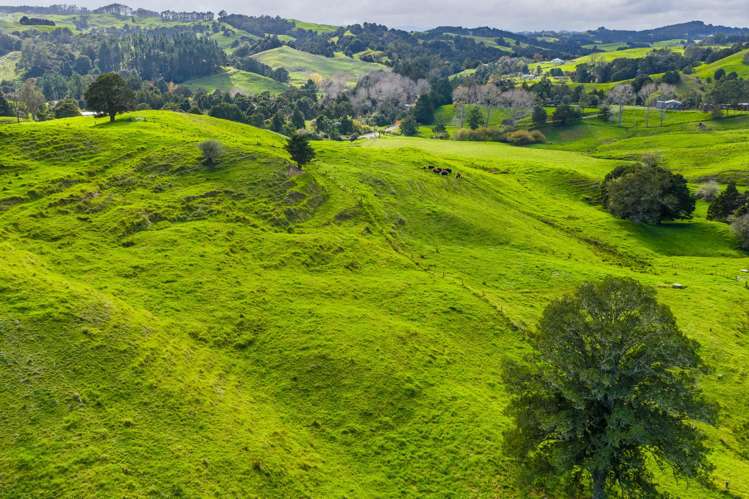 118 Paparoa Station Road Paparoa_22