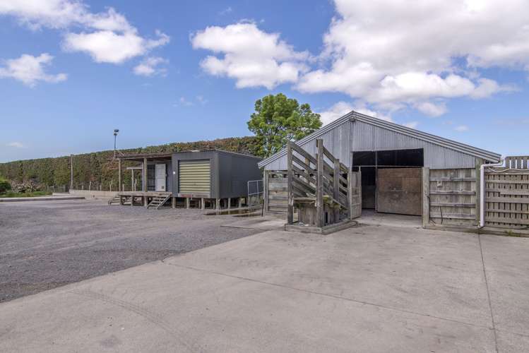 56 Harmans Road Leeston_15