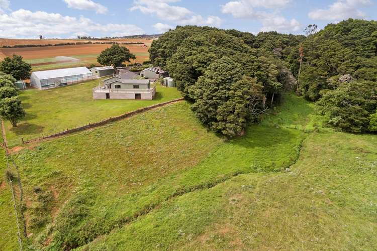 288 Waiuku Road Puni_11