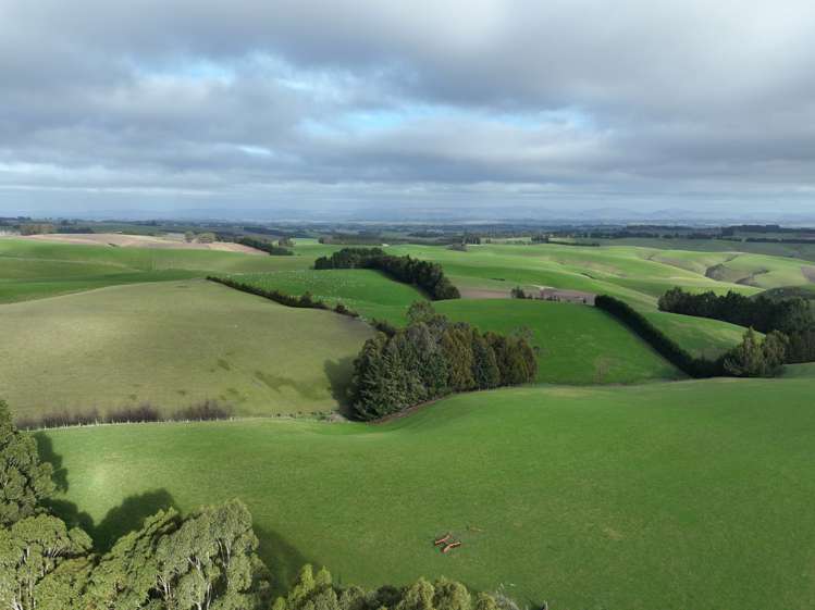 174 Mcculloch Road Balclutha_15