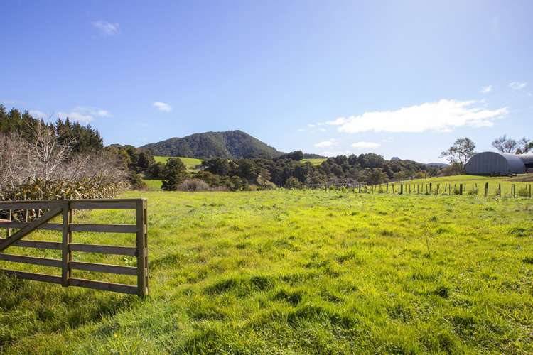 303 Gibbons Road Kaiwaka_4