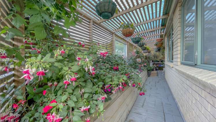 24 Banks Road Matamata_30