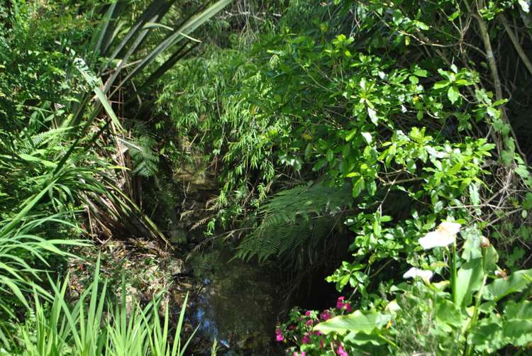 27 Ranfurly Place Kamo_2