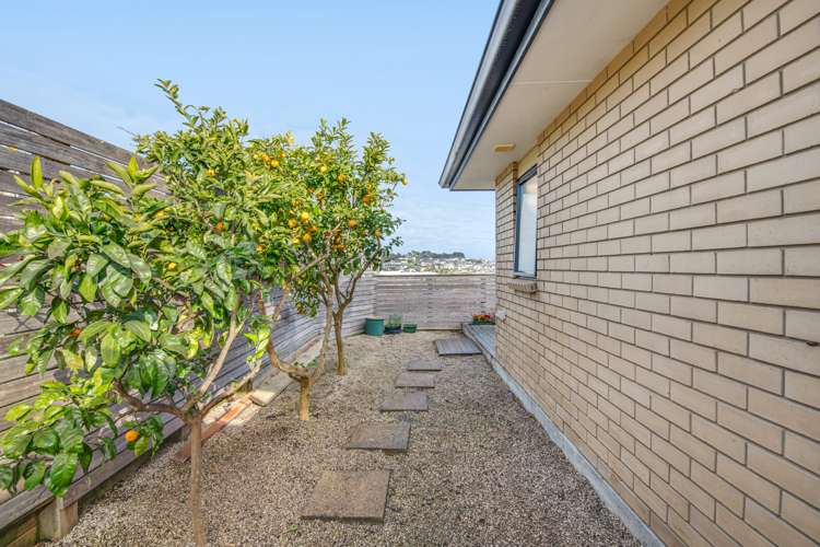 16 Seamount Drive Red Beach_24