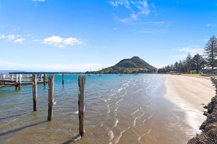 22A Miro Street Mount Maunganui_19