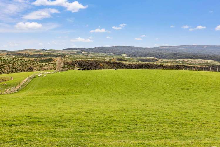 655 Rankleburn Road Tapanui_17