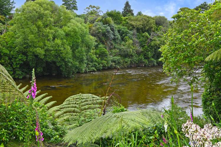 67 Bridge Road Birchville_17