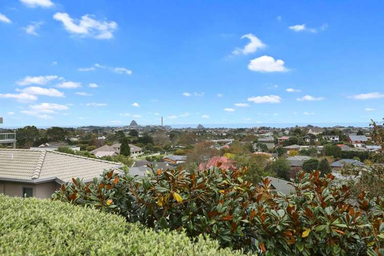 41a Veale Road Frankleigh Park_6