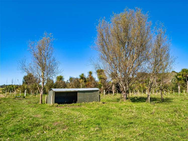 139 Lochhead Road Te Puna_43