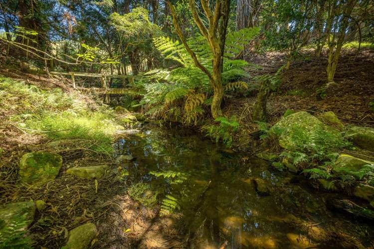 236 Willoughby Road Tahawai_41