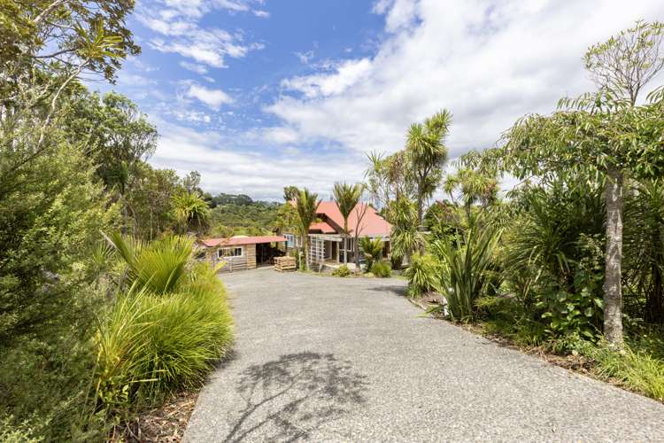 16 La Trobe Track Karekare_39