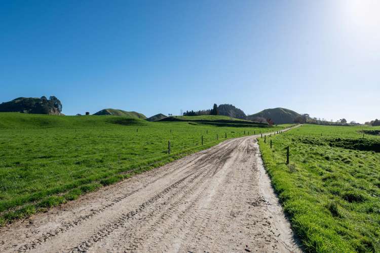 471 Poutakataka Road Ngakuru_28