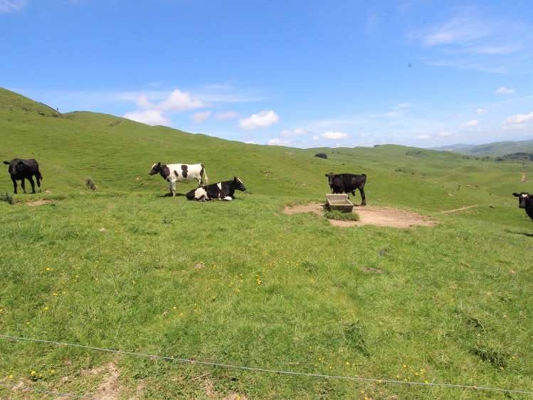 934 Coonoor Road Pahiatua_8