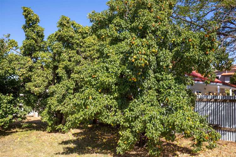 8 Molyneux Avenue Cromwell_13