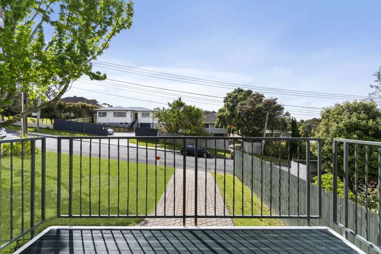 29 Taupo Street Green Bay_16