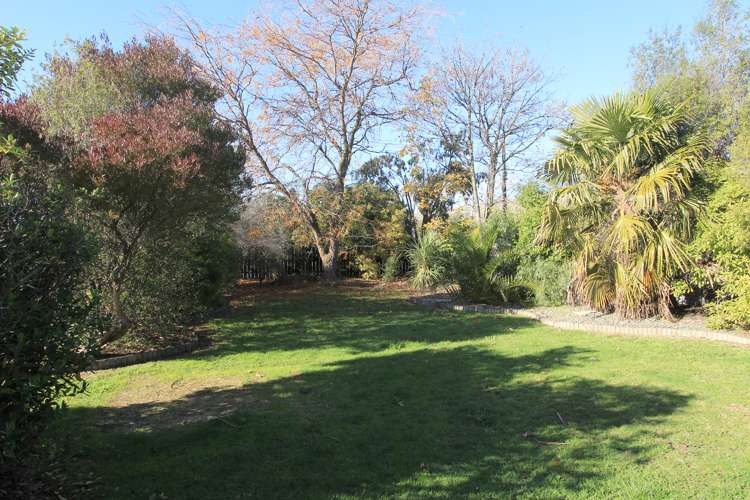 208 Howick Road Witherlea_14