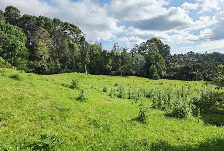 29 Warman Road Okura_0