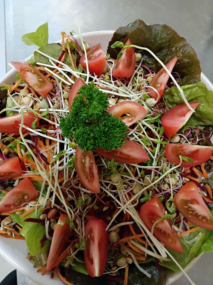 124 Palmerston Street Westport_14