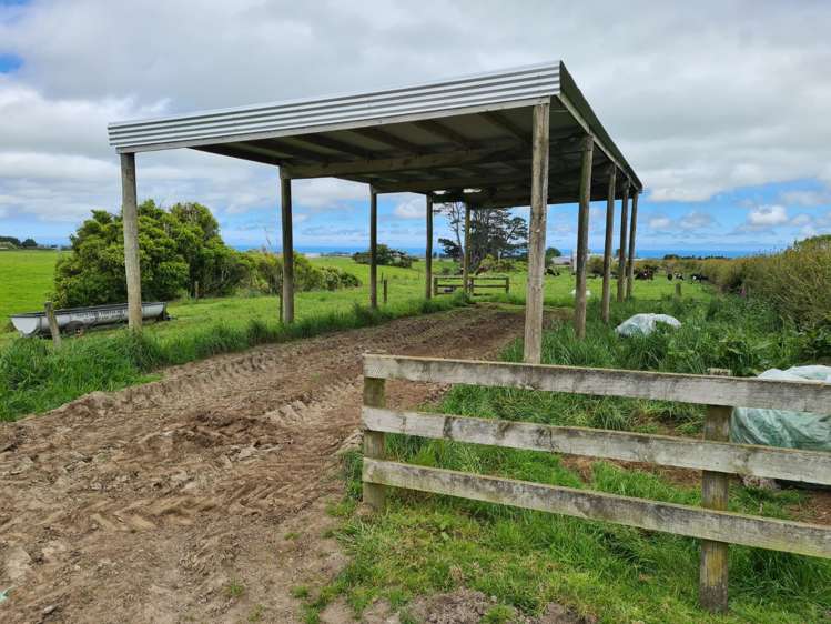 2344 Opunake Road Awatuna_17