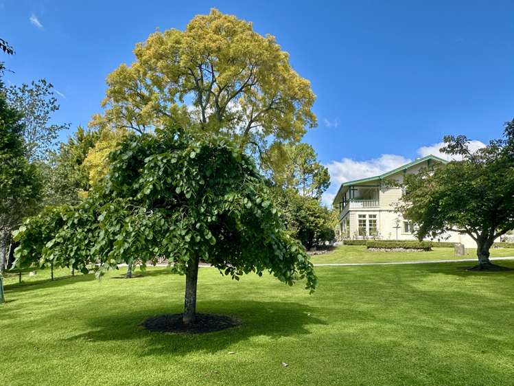 1909 Tiniroto Road Waerengaokuri_1