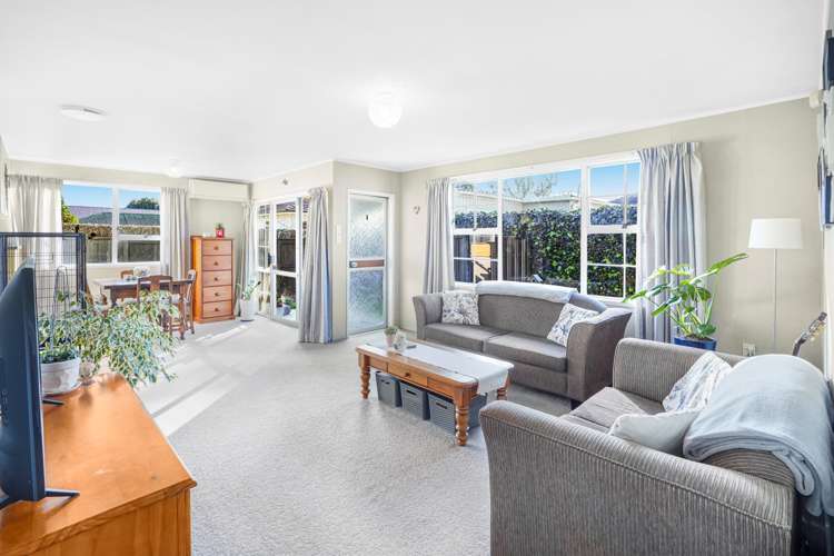 5a Brooklyn Road Claudelands_4