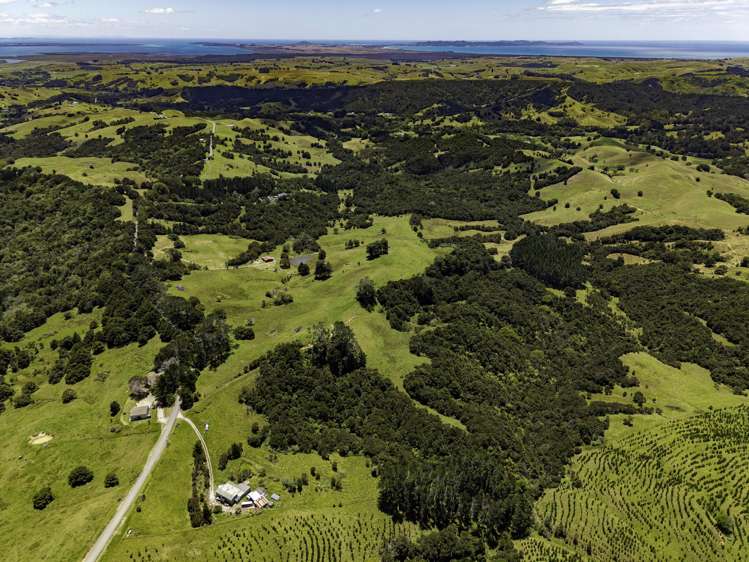 770 Fisher-Riley Road Kaingaroa_6