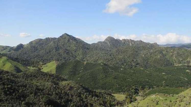 357 Summerhill Road Hinakura_15