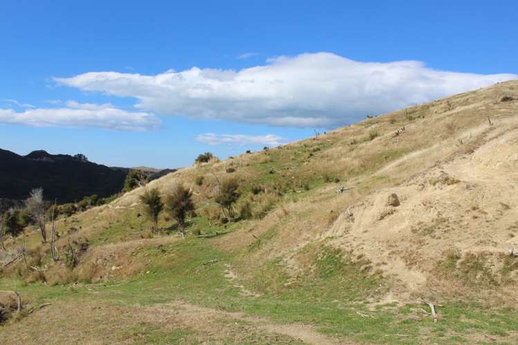 299 Branscombe Road Pongaroa_1