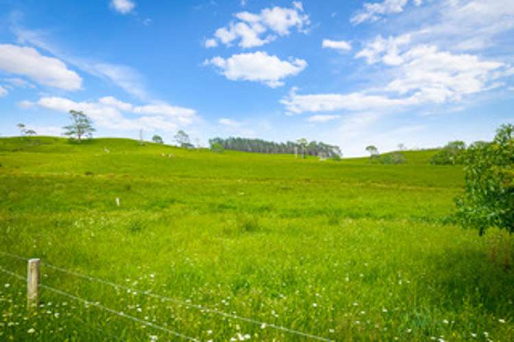 515 Kahikatea Flat Road Pine Valley_12