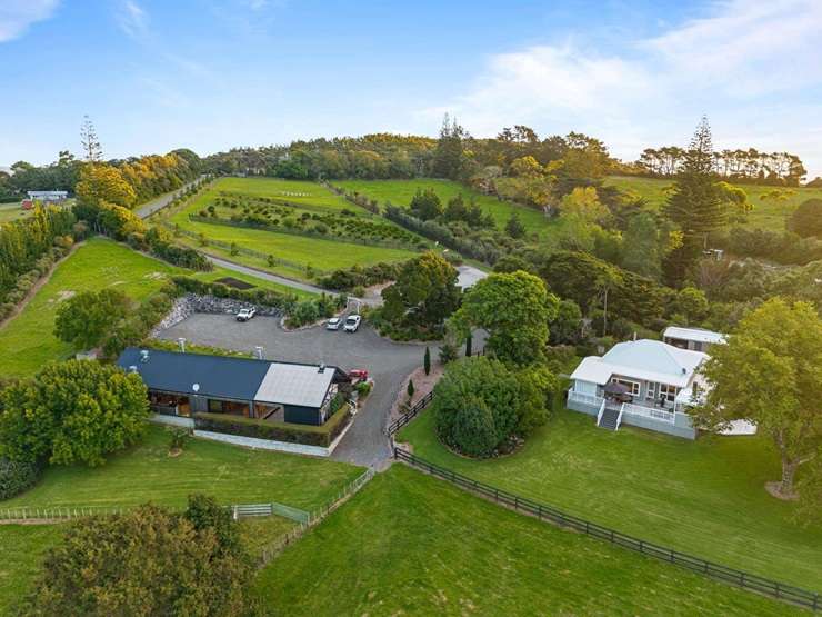 Michael Van de Elzen has sold his family's property on Auckland's West Coast. Photo / Brett Phibbs